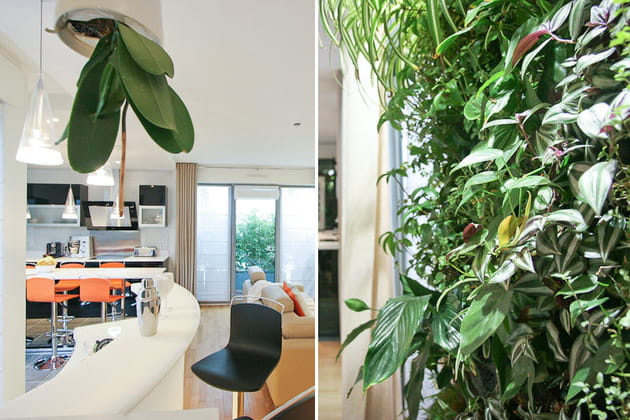 Au plafond et sur les murs