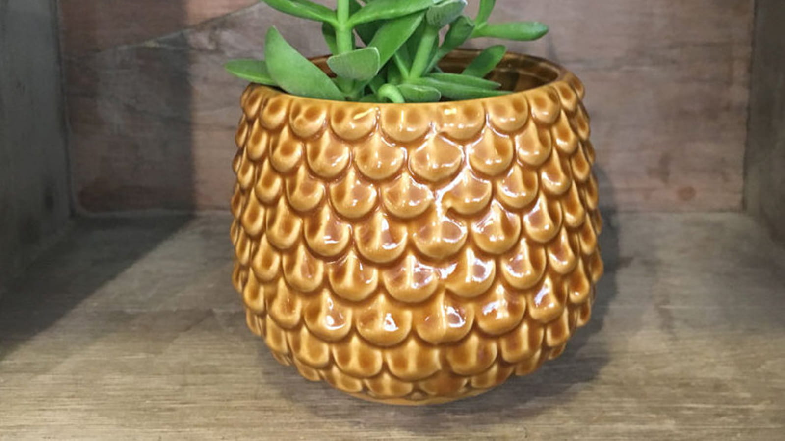 Cache-pot marron