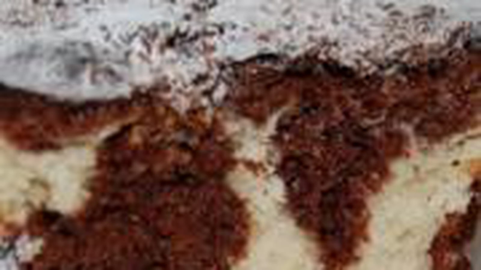 Marbré noix de coco, cacao
