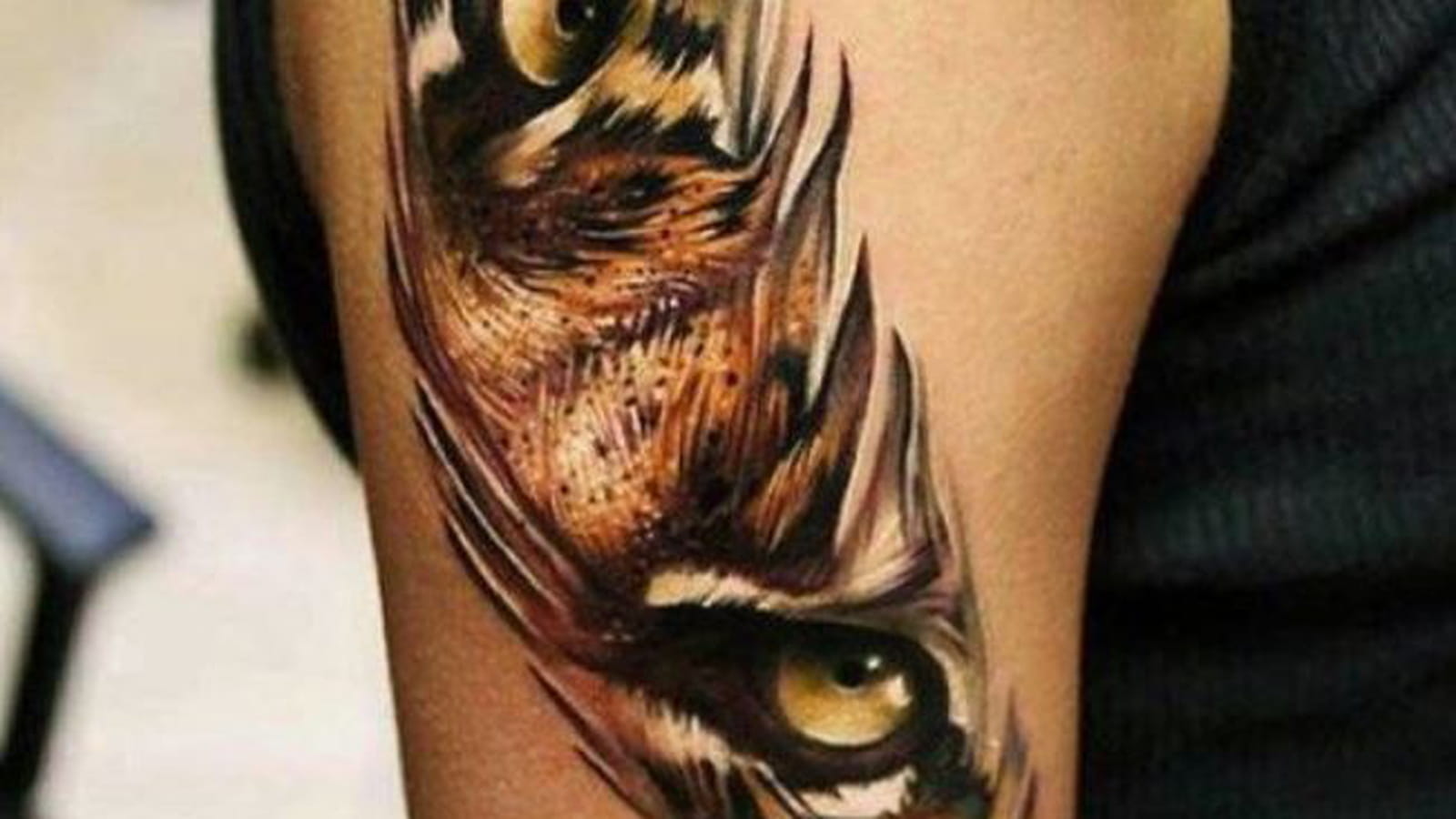 Tatouage plume et tigre sur le bras