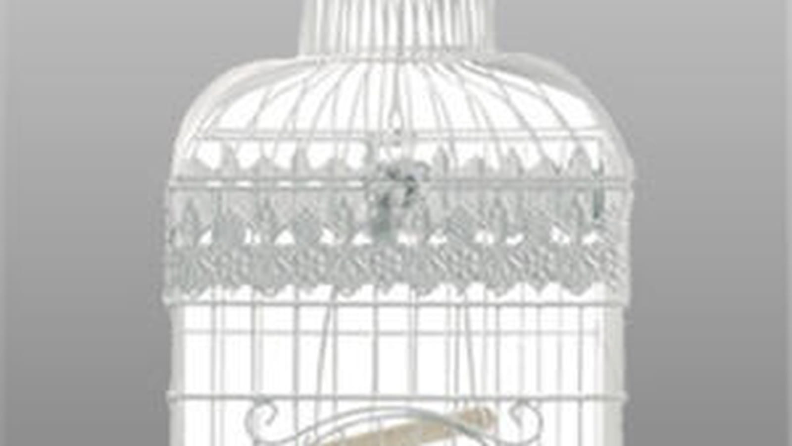 La cage "Pajaro" de Casa