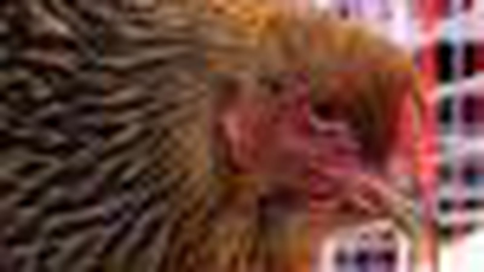 Poule Brahma