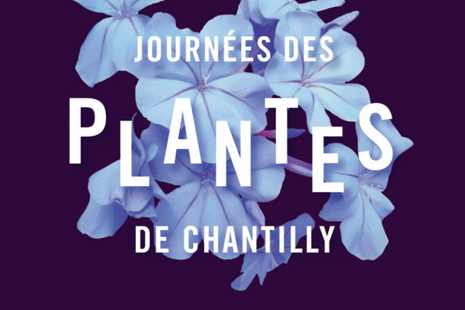 Journées des plantes de Chantilly 2017 : demandez le programme