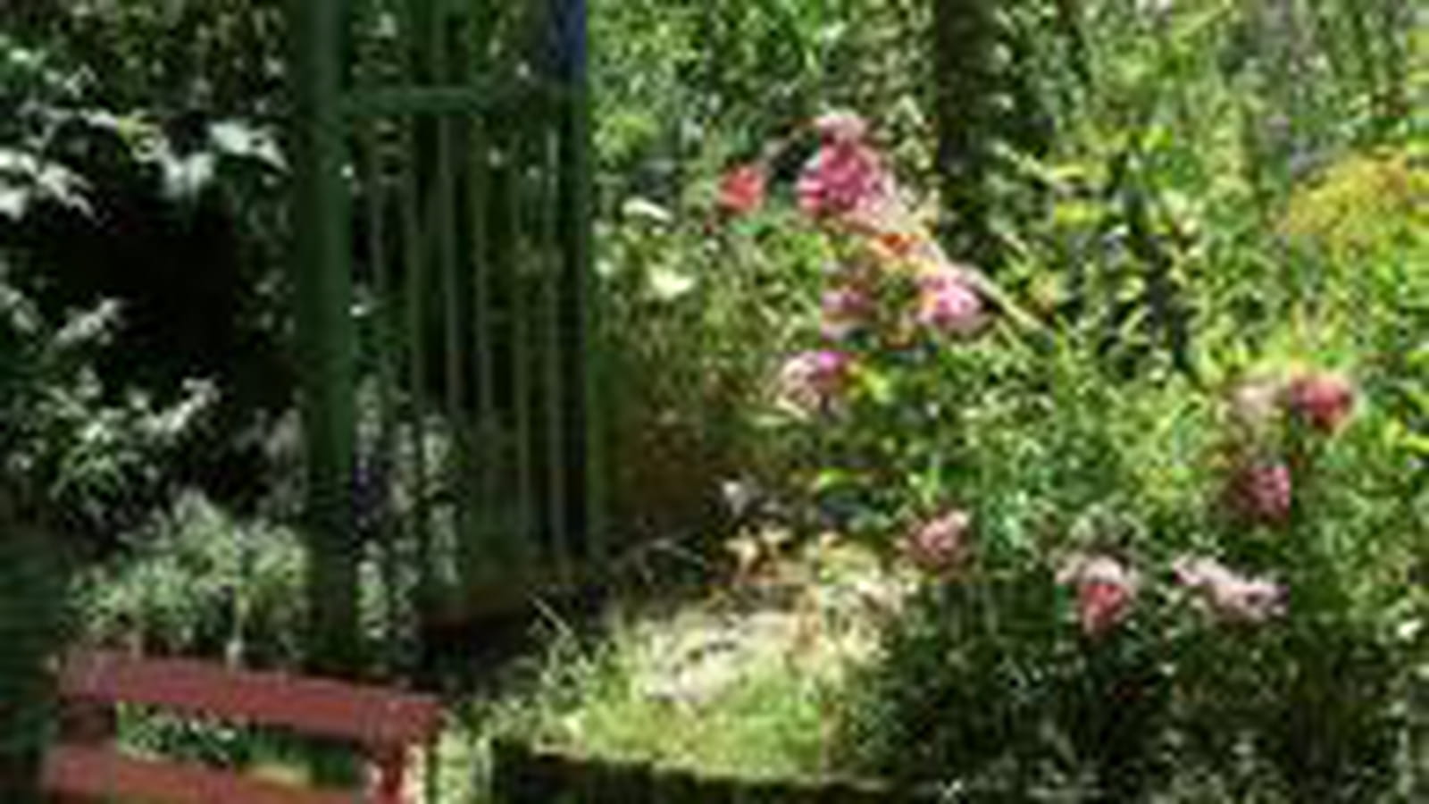 Jardin