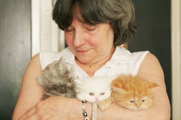 Tierc&eacute; c&acirc;lin