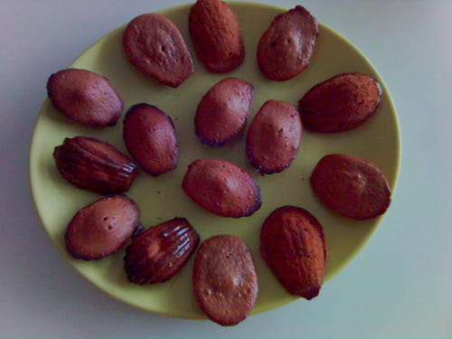 Madeleines au chocolat et au miel