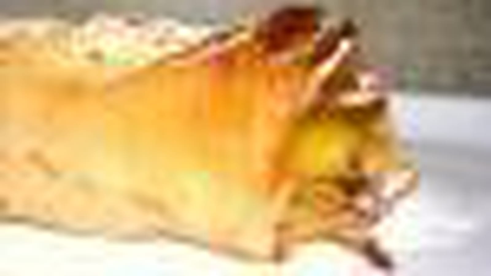 Strudel aux pommes