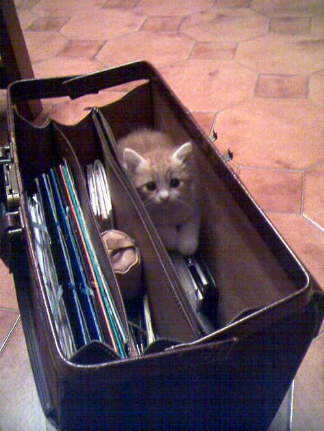 Envie de vadrouiller