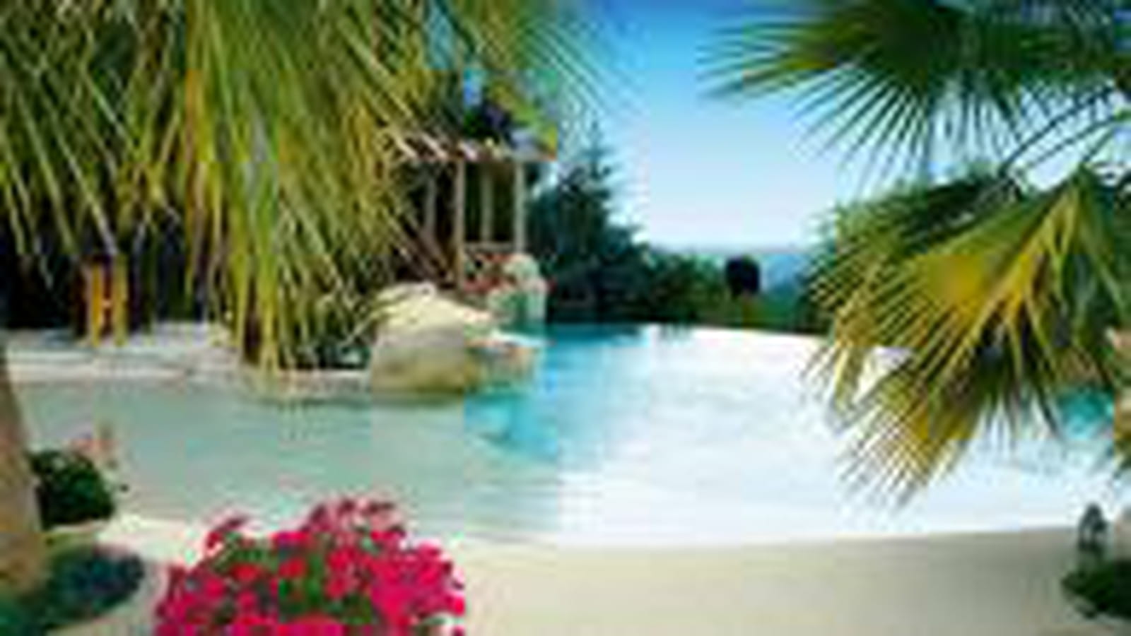Piscine exotique