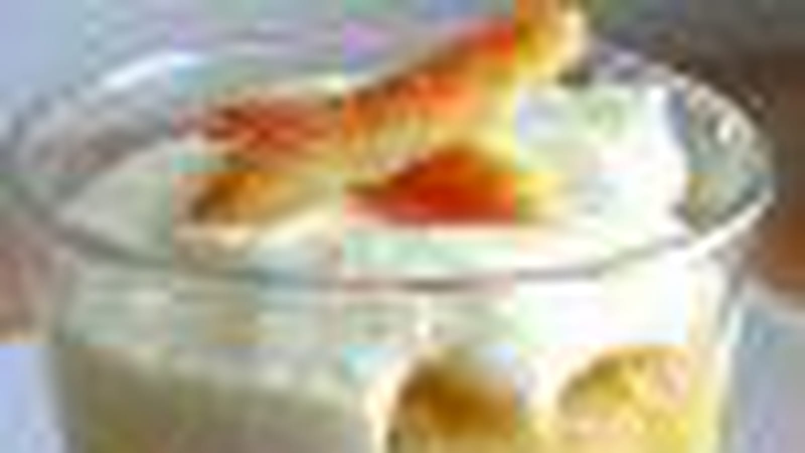 Tiramisu à l'orange et au Grand Marnier