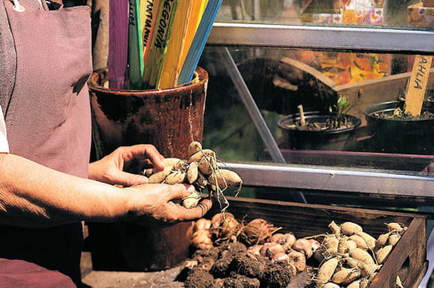 M&eacute;lange pour vos plantations