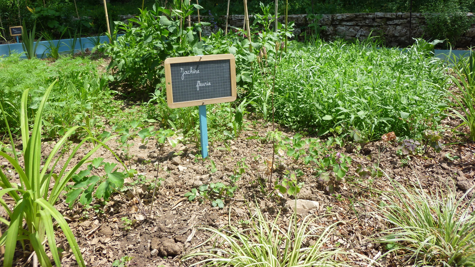 Entretenir le jardin