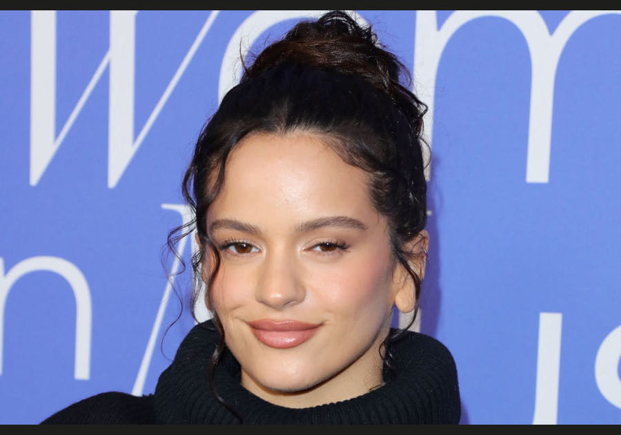 Top&nbsp;: le chignon boucl&eacute; de Rosal&iacute;a