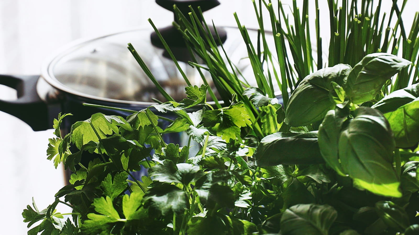 Faire cuire ses herbes aromatiques