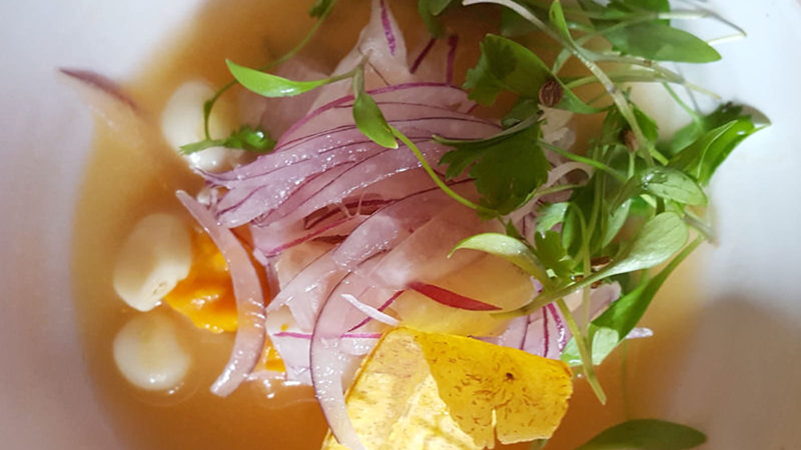 Ceviche chez Señor Ceviche
