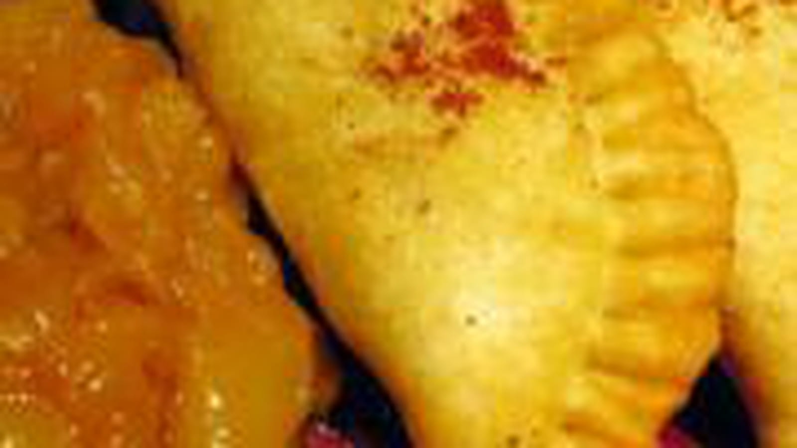 Samossas à l'indienne et chutney de mangues