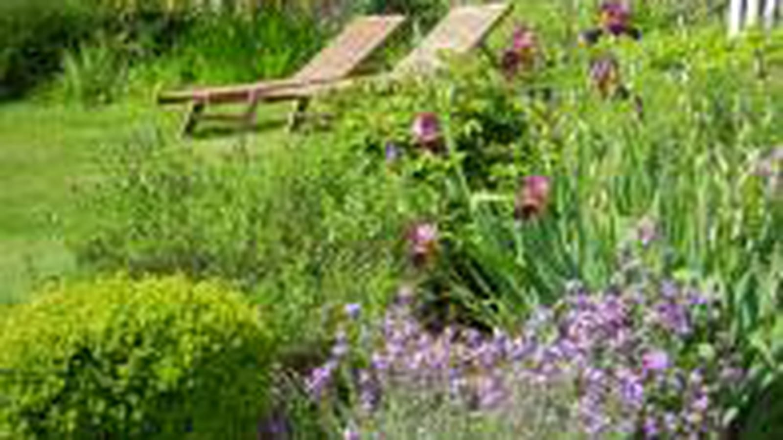 Jardin