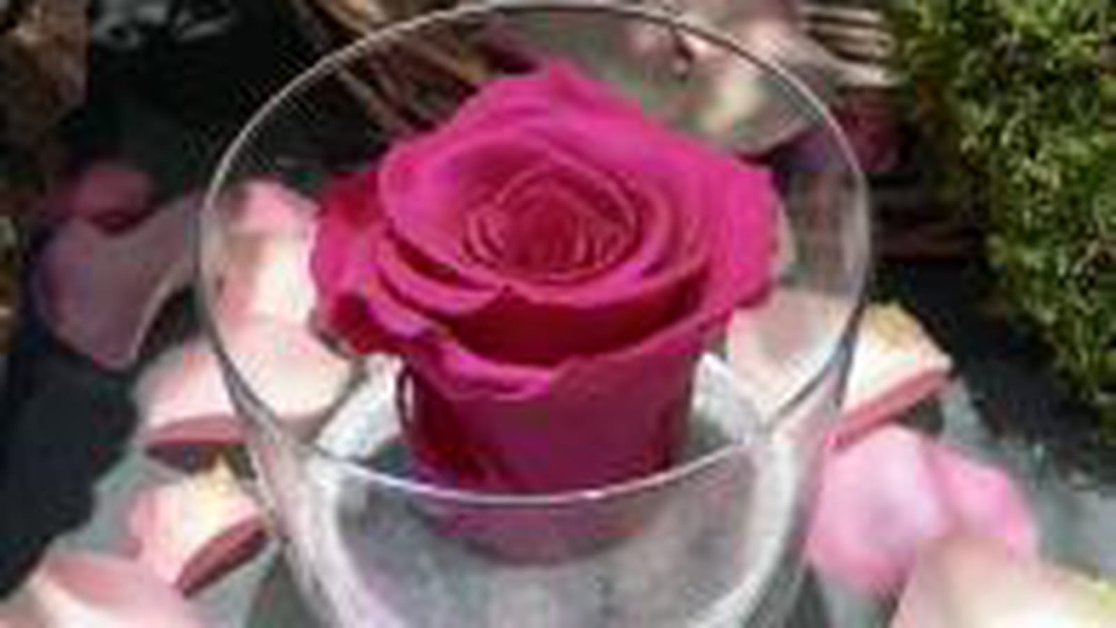 Rose naturelle stabilisée