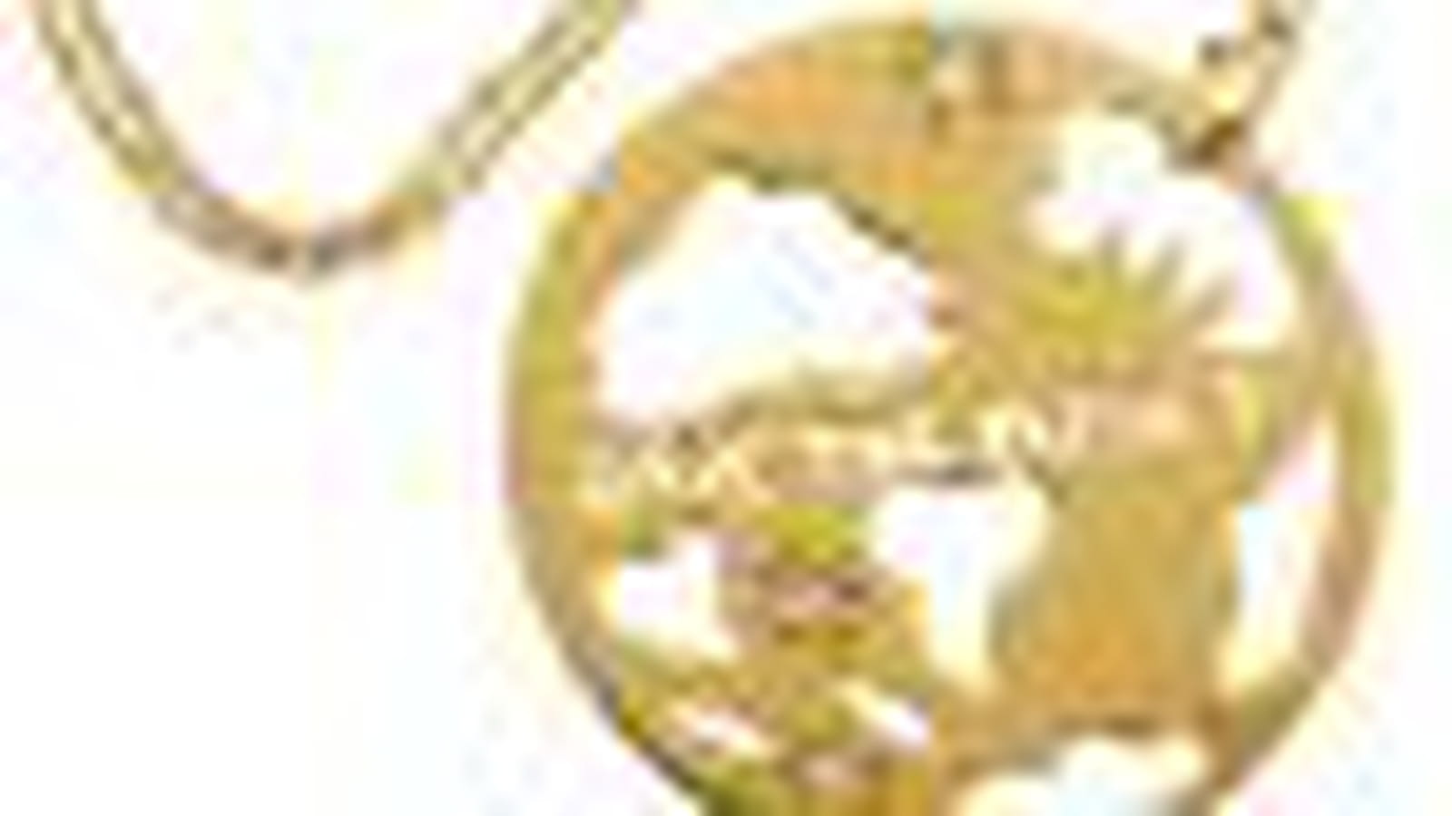 Le collier Save the Planet de Feidt