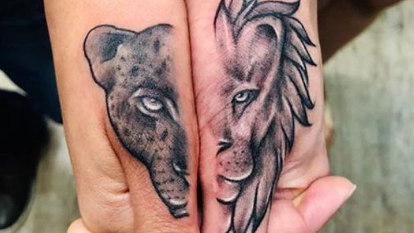 Lion et lionne sur les pouces