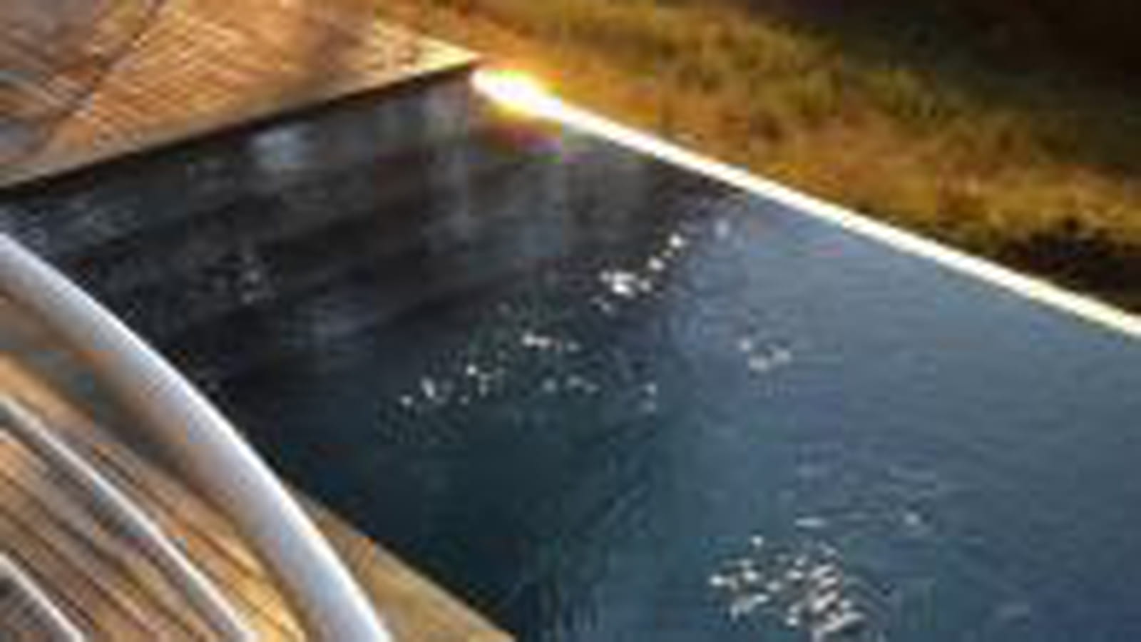 Rénovation de piscine : Or