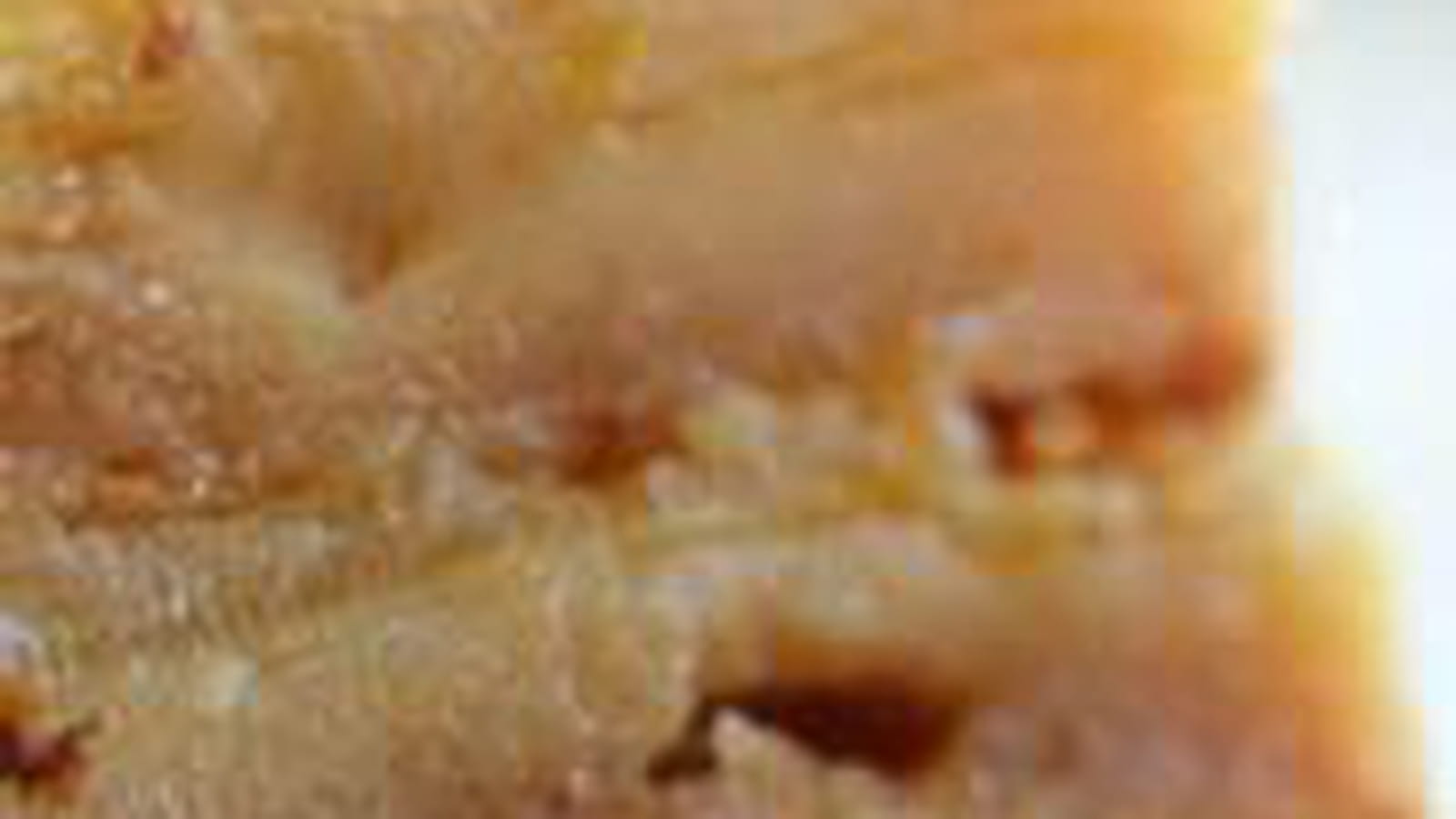 Clafoutis aux pommes golden