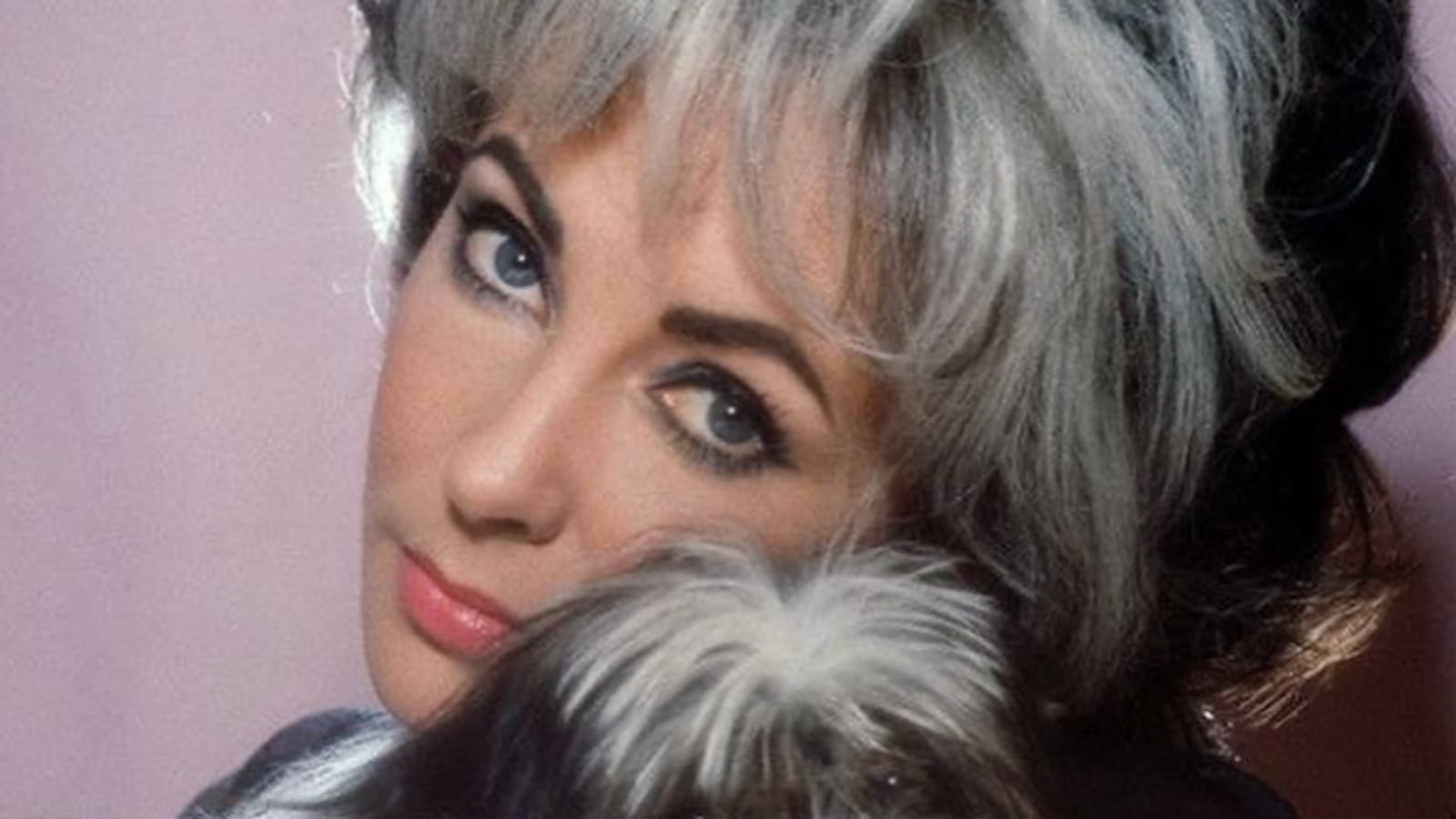 Elizabeth Taylor