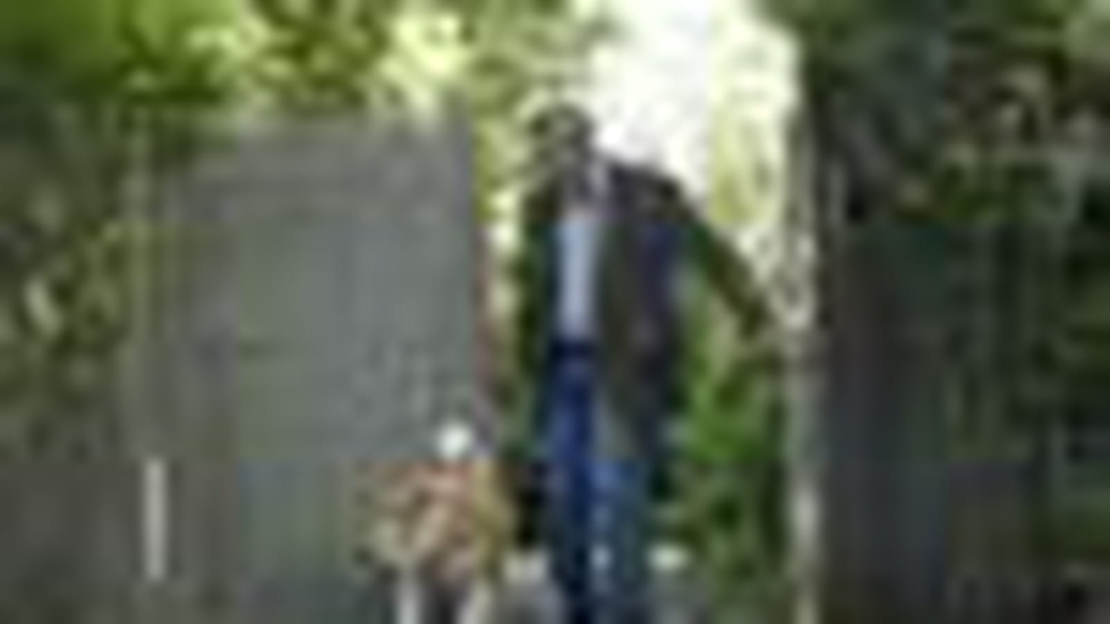 Hachiko