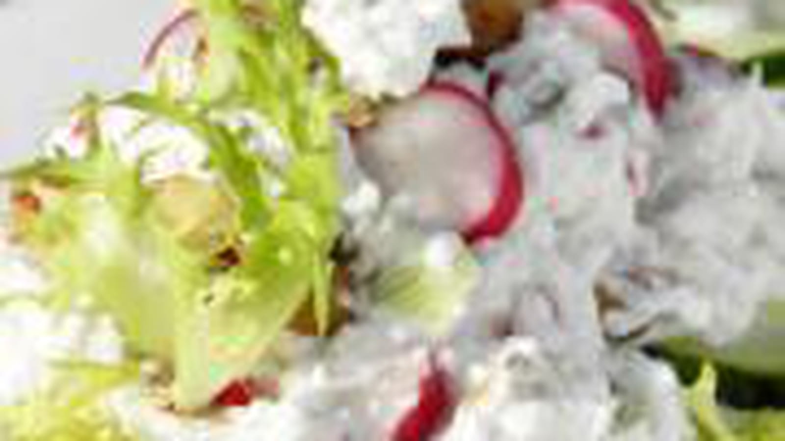 Tartines de chèvre frais aux radis roses et noisettes