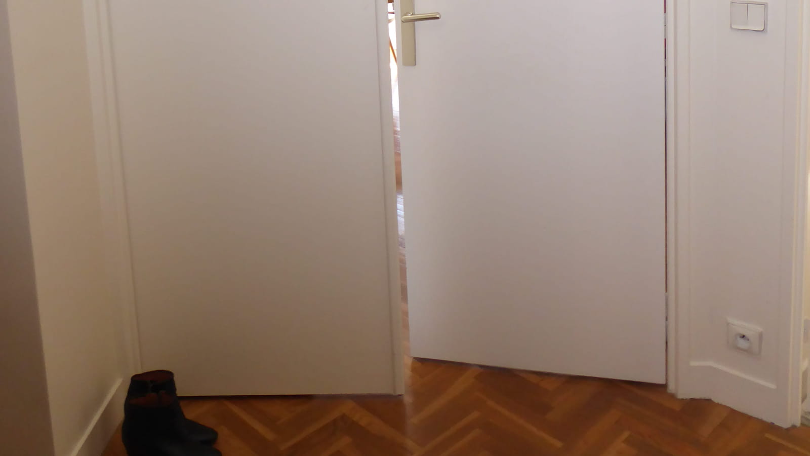 Porte du salon avant 