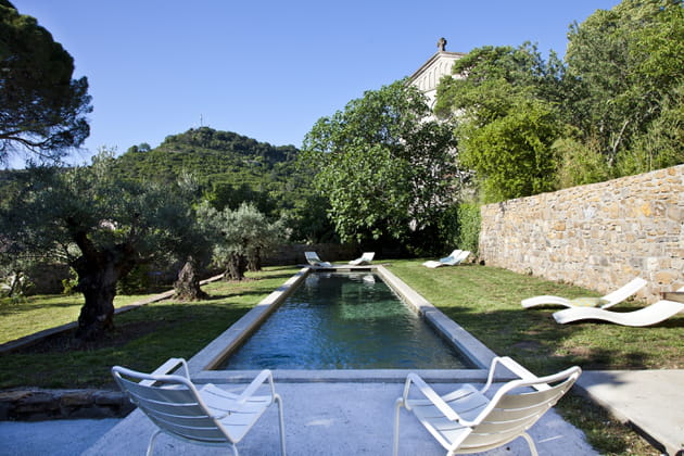 Un jardin bucolique entre oliviers et figuiers