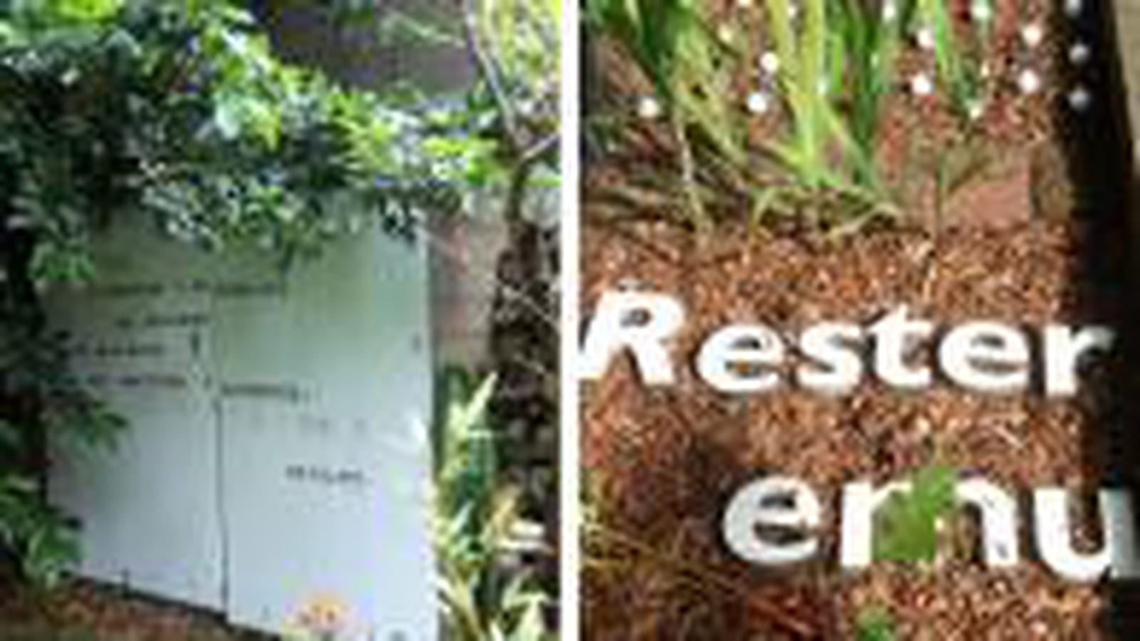 Jardin
