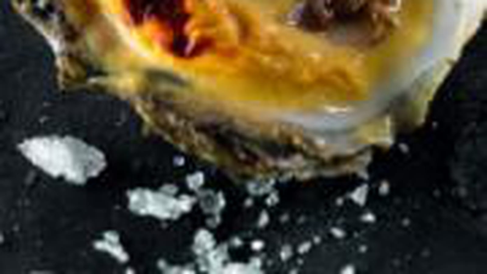 Huîtres et sabayon au champagne