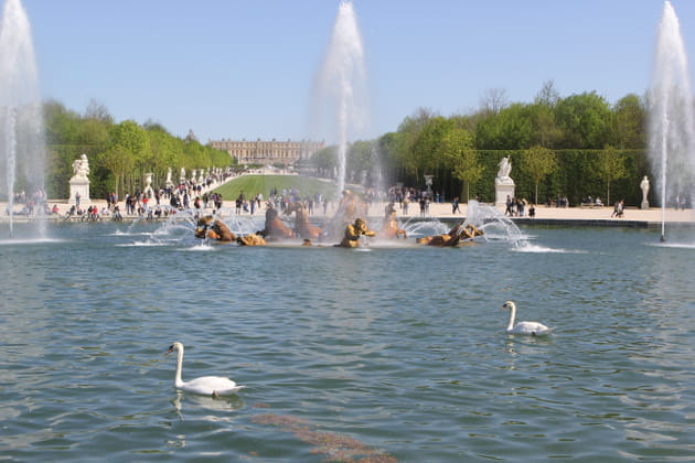 Apollon illumine le bassin