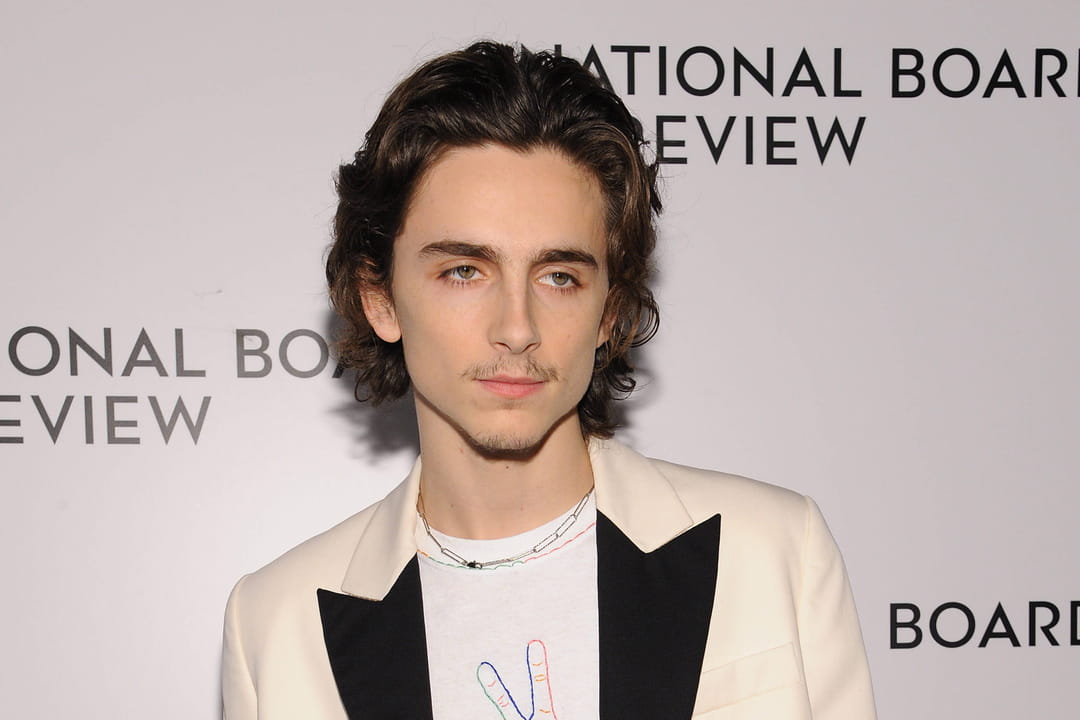 La moustache aérienne de Timothée Chalamet
