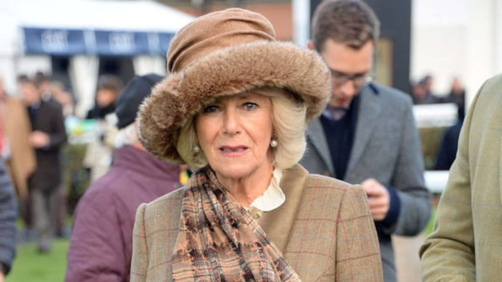 Camilla Parker-Bowles le 26 novembre 2016