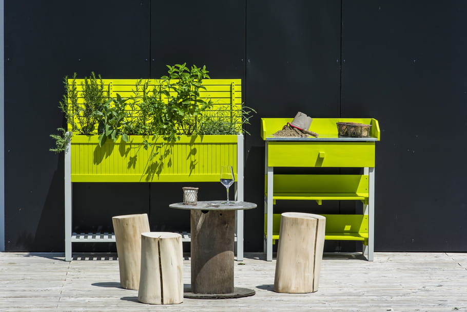 Les indispensables pour un mini potager sur le balcon