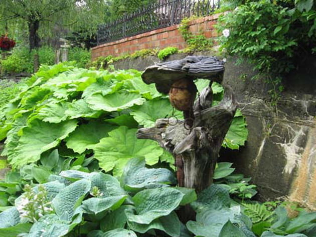 Ga&iuml;a se fond dans le d&eacute;cor