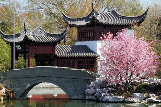 Floraison au Jardin de Chine