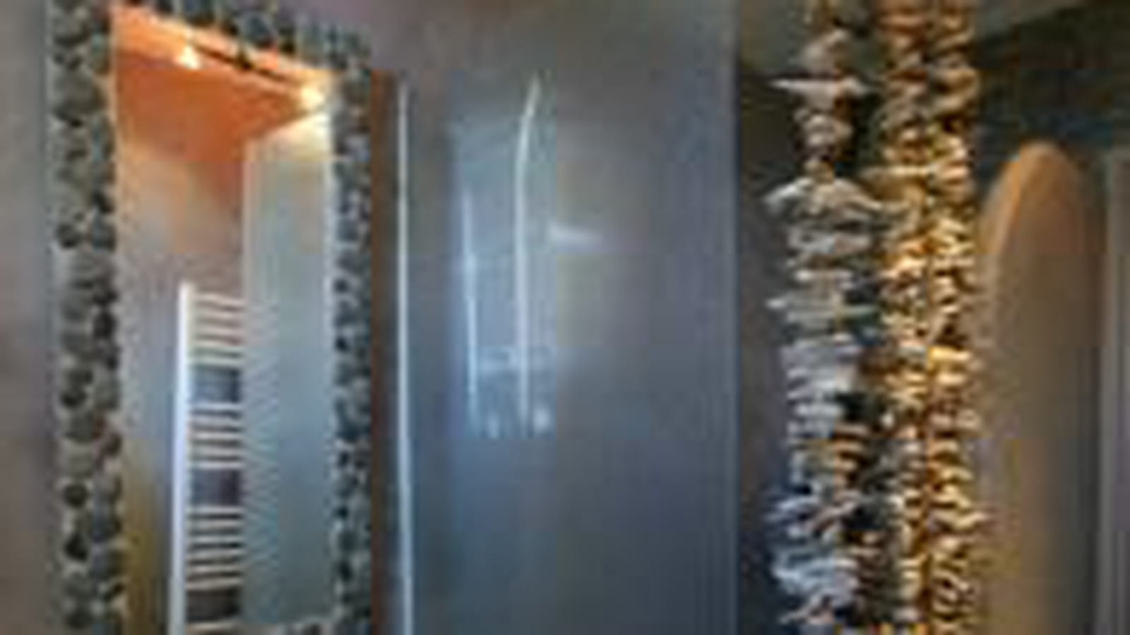 Rideau de douche