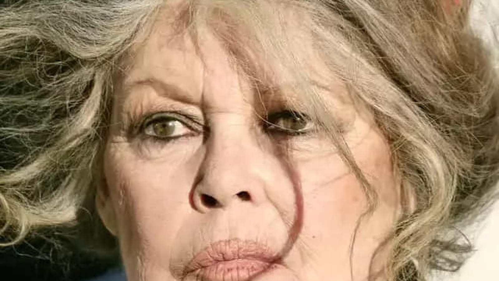 Brigitte Bardot