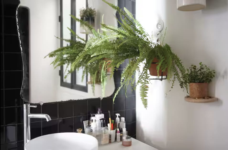 Apr&egrave;s&nbsp;: une salle de bains noir et blanche moderne