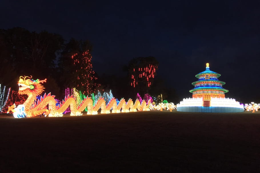 Lumières sauvages au Zoo de Thoiry