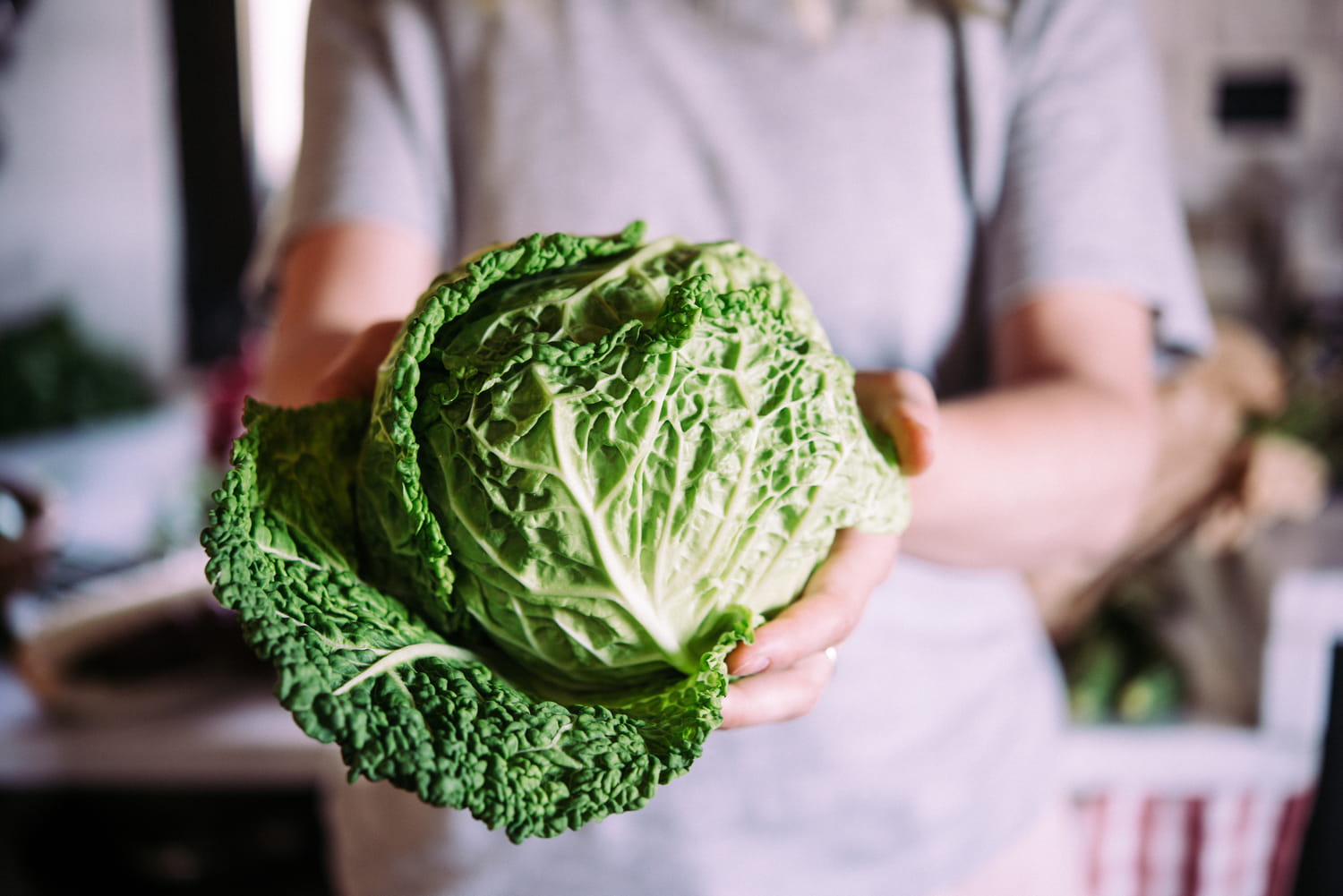 thanks to this food, the effectiveness of immunotherapy increases to 60%