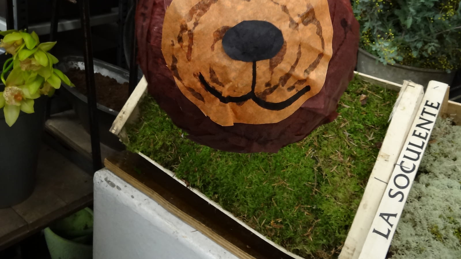 Piñata ours