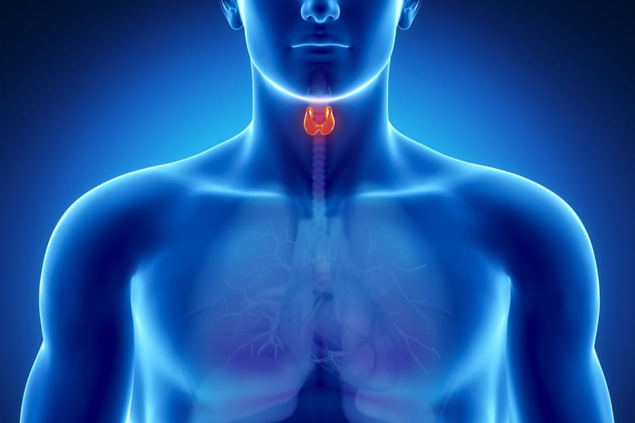 Le cancer de la thyroïde est en hausse