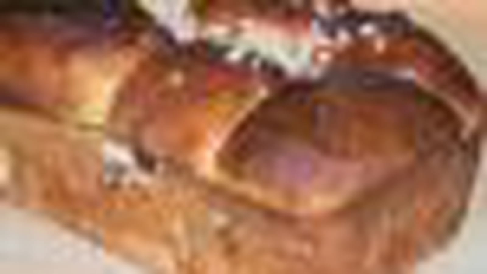 Brioche aux raisins