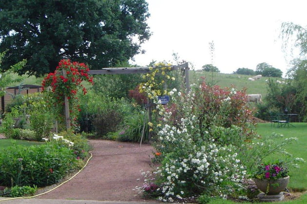 Une voie fleurie vers le potager