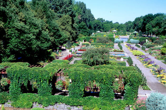 Le Jardin des vivaces
