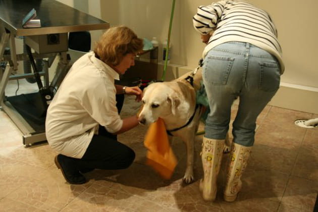 Il est temps de se sécher